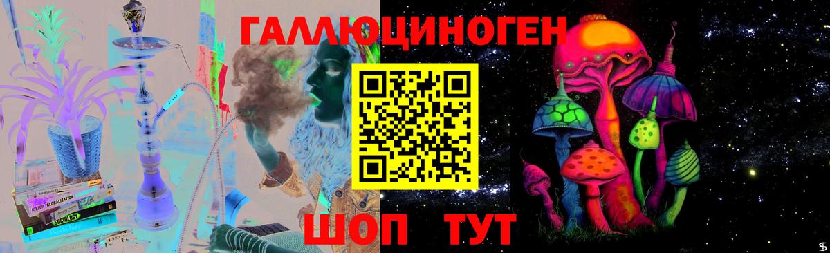 Псилоцибиновые грибы мухоморы  Вход с VPN  Гатчина 